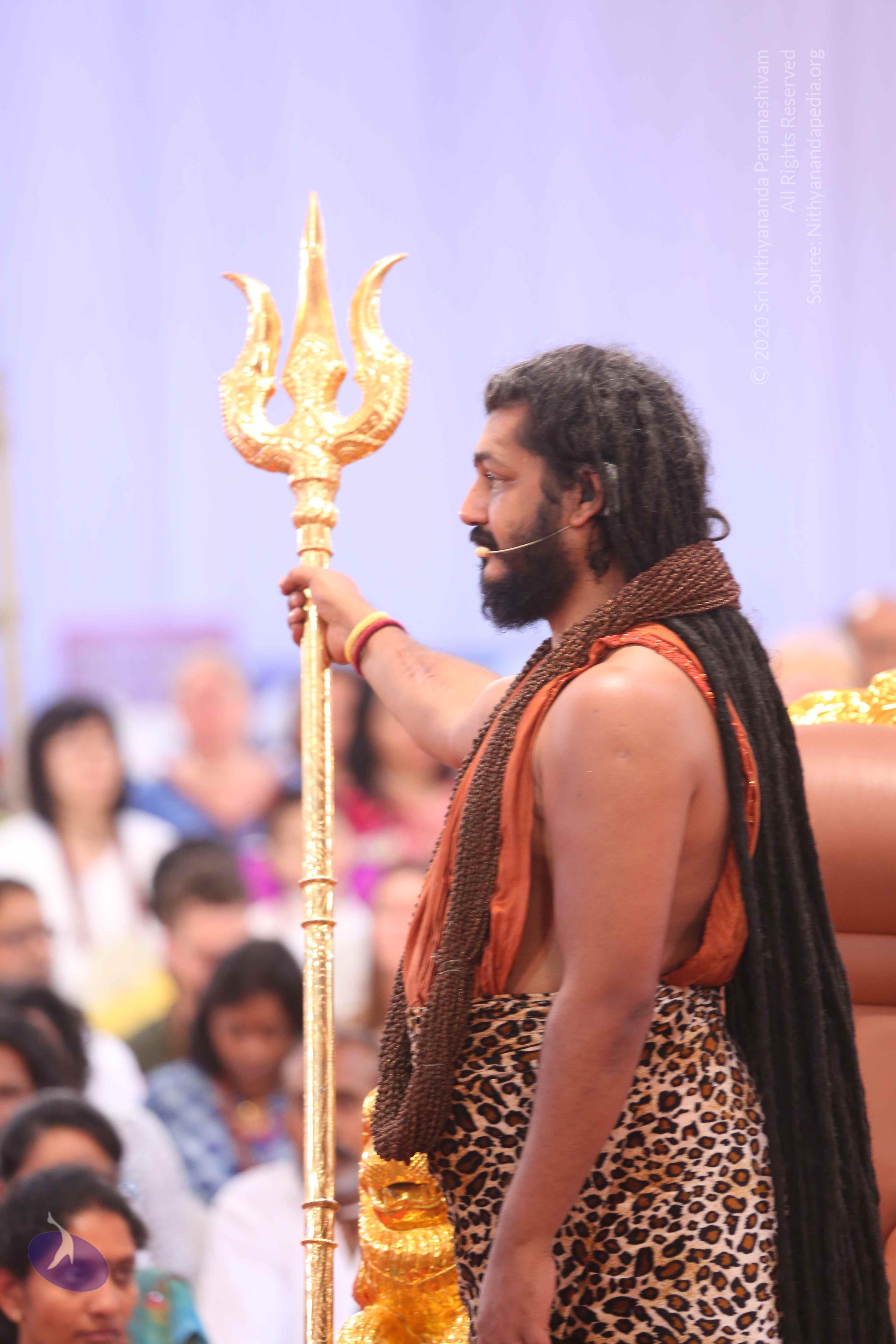 20161204_Photo_1084_IMGL5651_CMP_WM